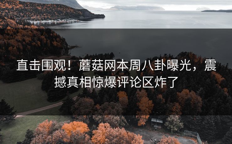 直击围观！蘑菇网本周八卦曝光，震撼真相惊爆评论区炸了